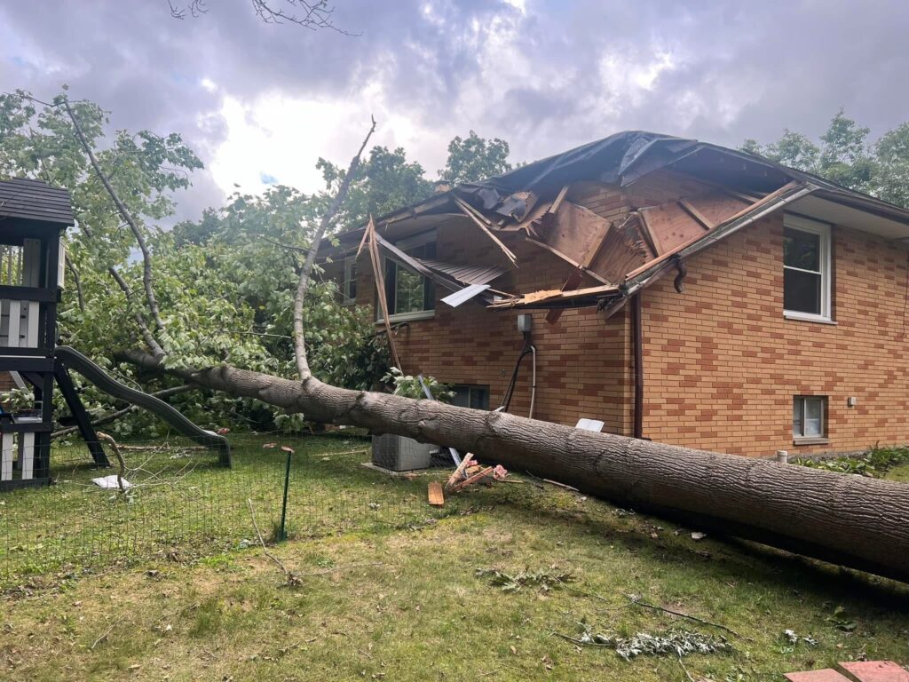 image showing Brush hog services near me
