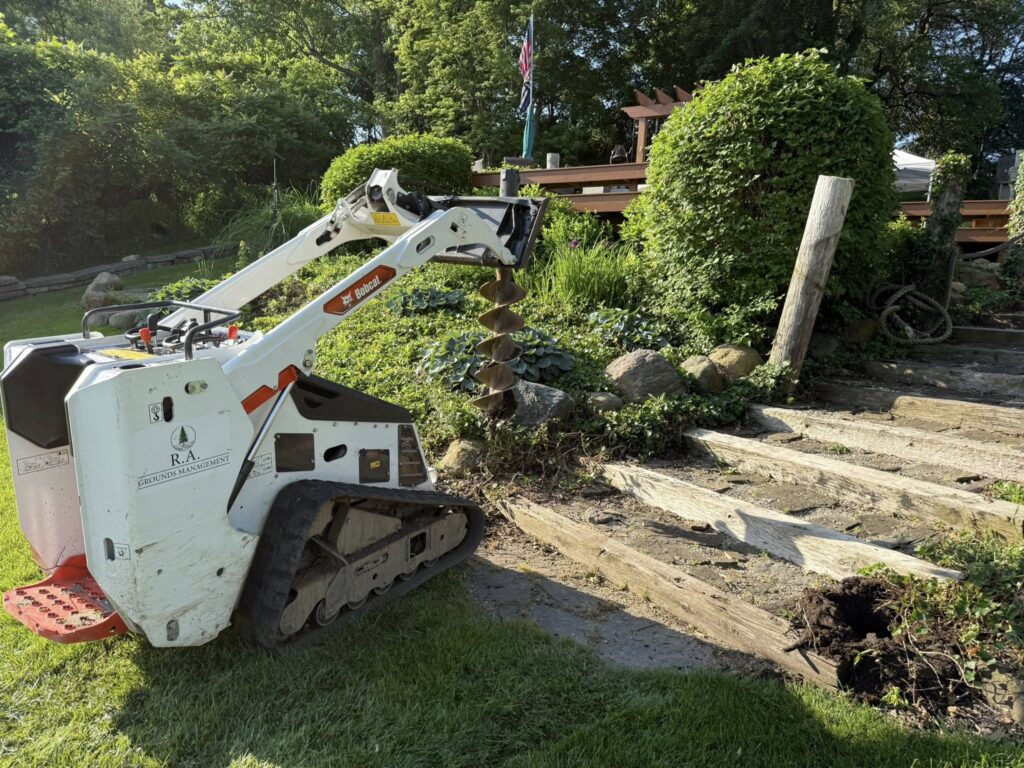 Tree Service Mentor Ohio