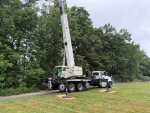 licensed tree removal service near me
