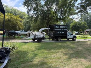 local tree removal service