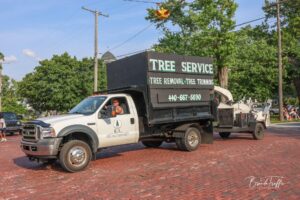 tree limb removal near me