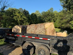 tree removal and landscaping