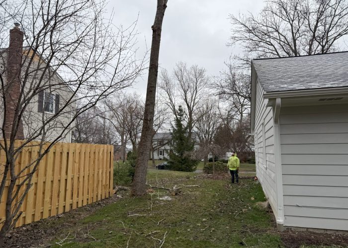 image showing Tree Services Chardon Ohio