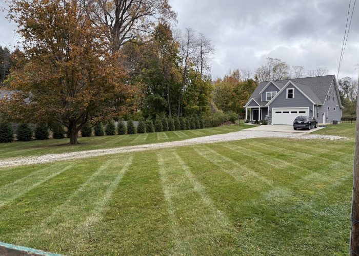 landscaping after before after fall