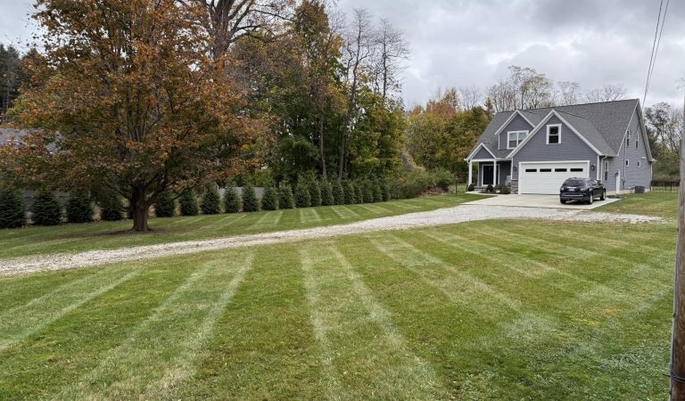 landscaping after before after fall