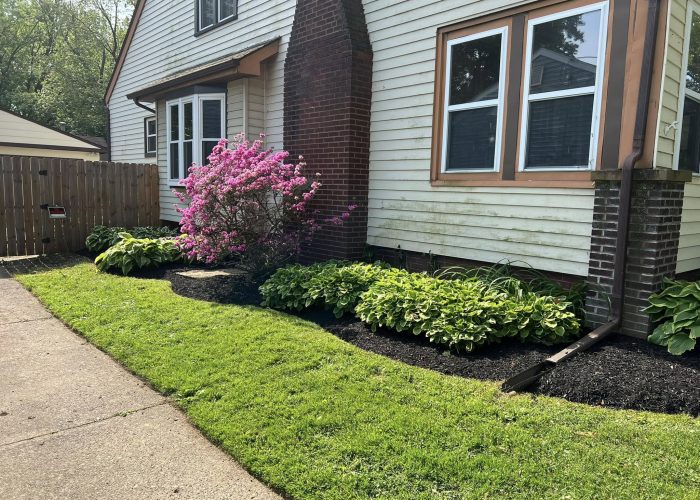 landscaping company near me