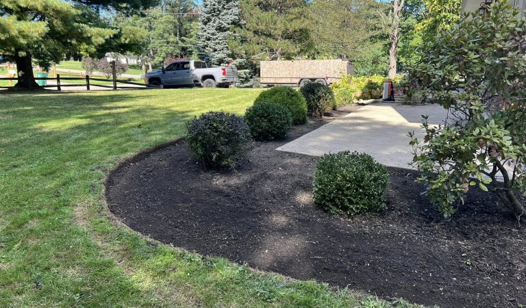 landscaping