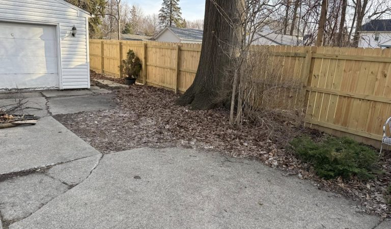 tree removal servicesd