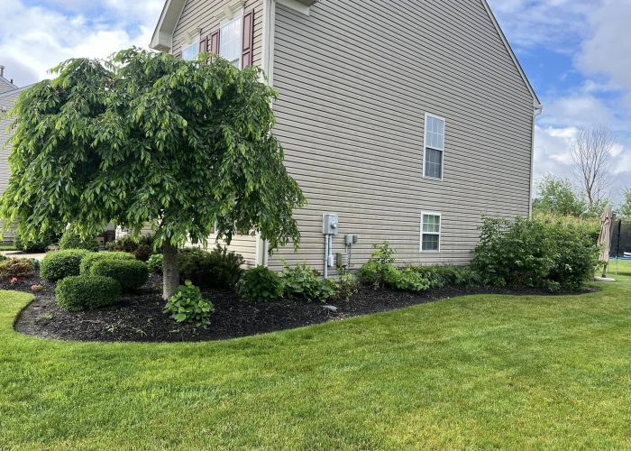 weeding company painesville ohio