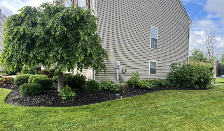 weeding company painesville ohio